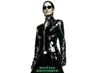 fond d'cran du film Matrix Reloaded